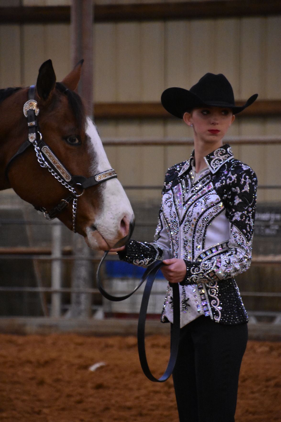 gelding reserve.JPG